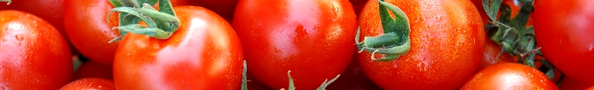 Pomodoro - Tomato - Tomate